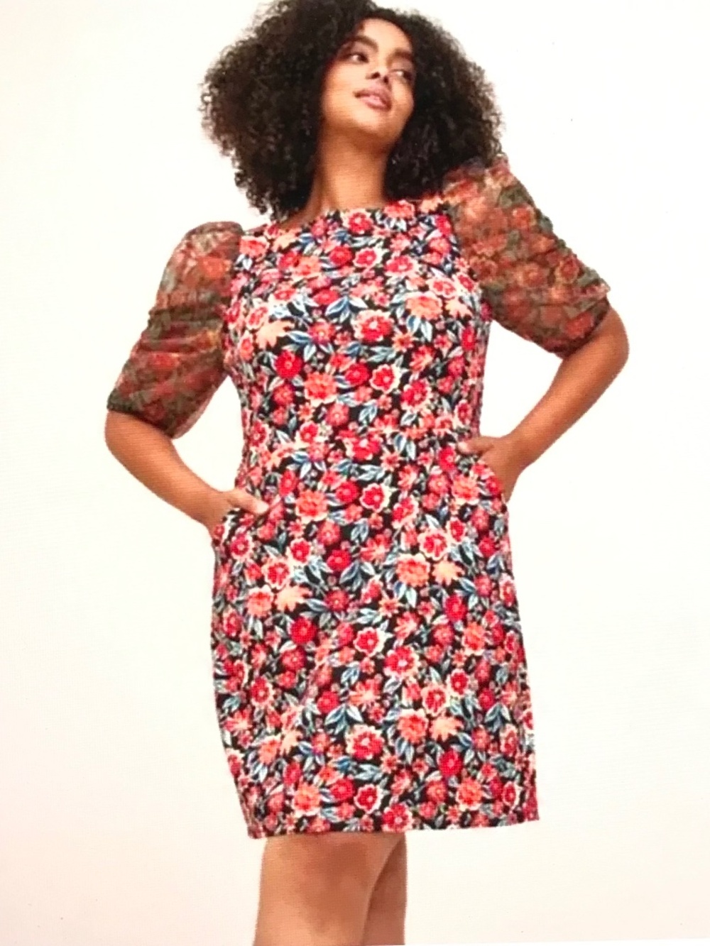 TORRID Floral Puff Sleeve Dress Women’s Plus Size 22 - 2X